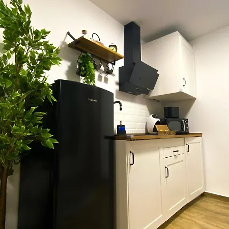 Apartment Con Cueva Romana/roman Cave * Early Check-in Toledo