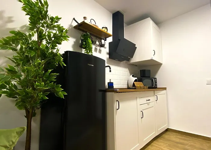 Apartment Con Cueva Romana/roman Cave * Early Check-in Toledo